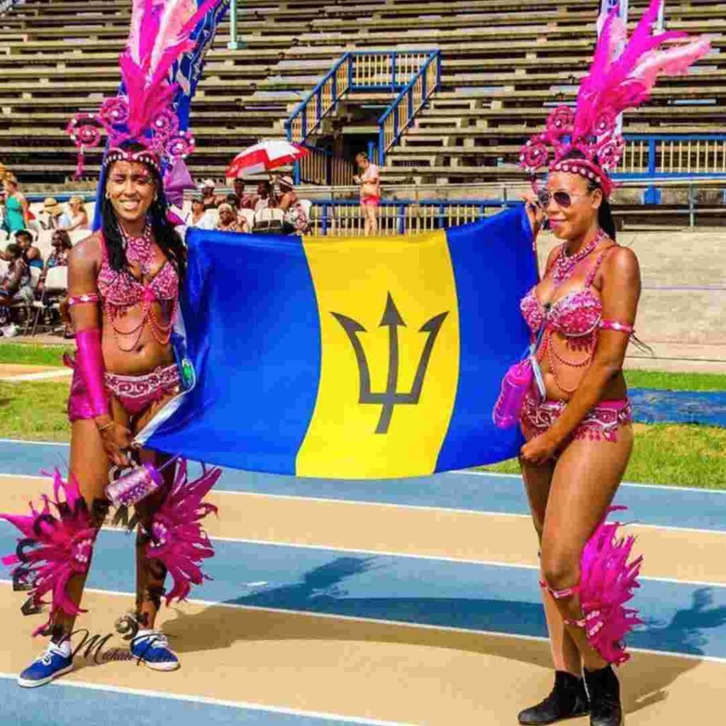 Barbados Flag DP Photos