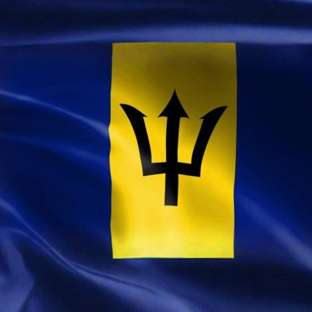 Barbados Flag DP