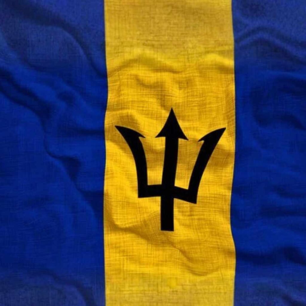 Barbados Flag DP