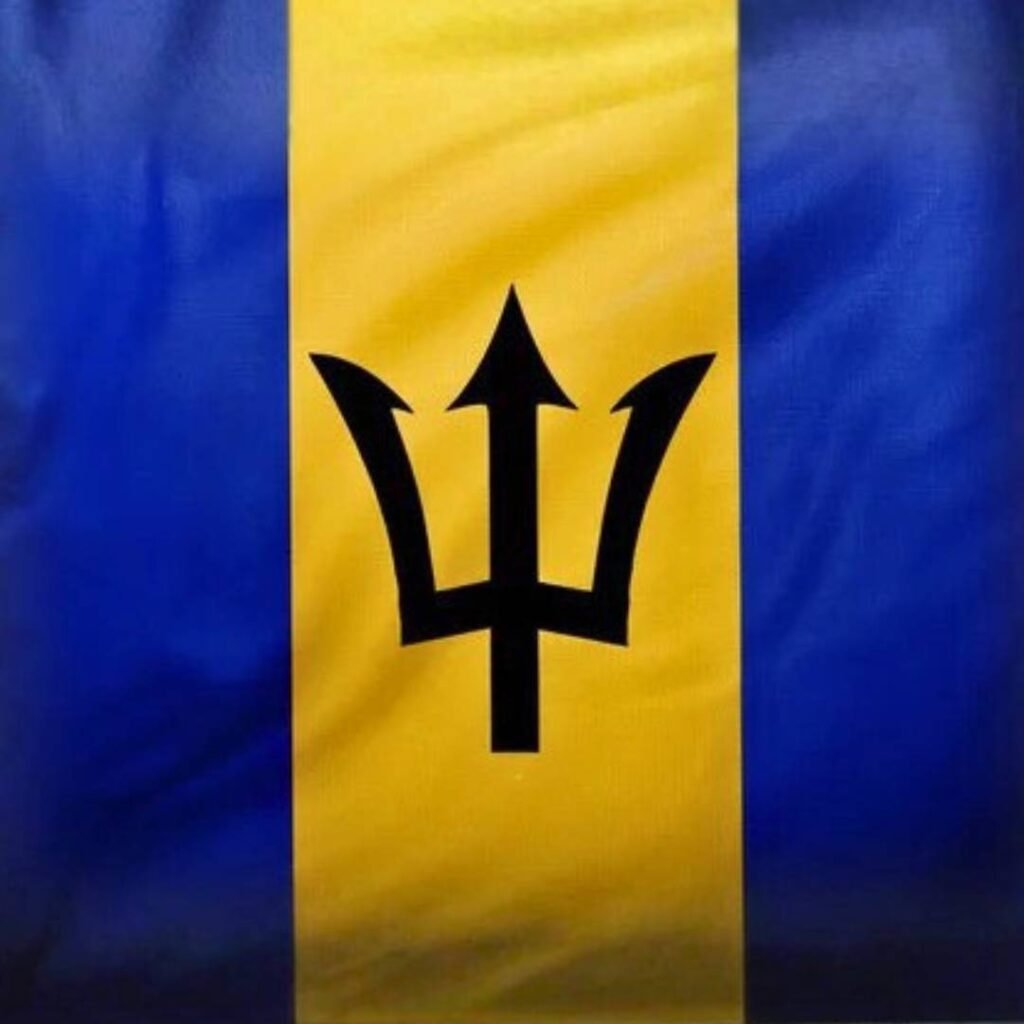 Barbados Flag DP