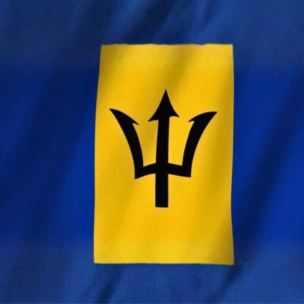 Barbados Flag DP