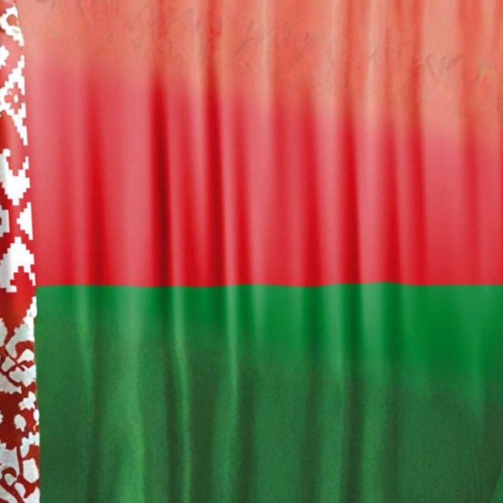 Belarus Flag DP