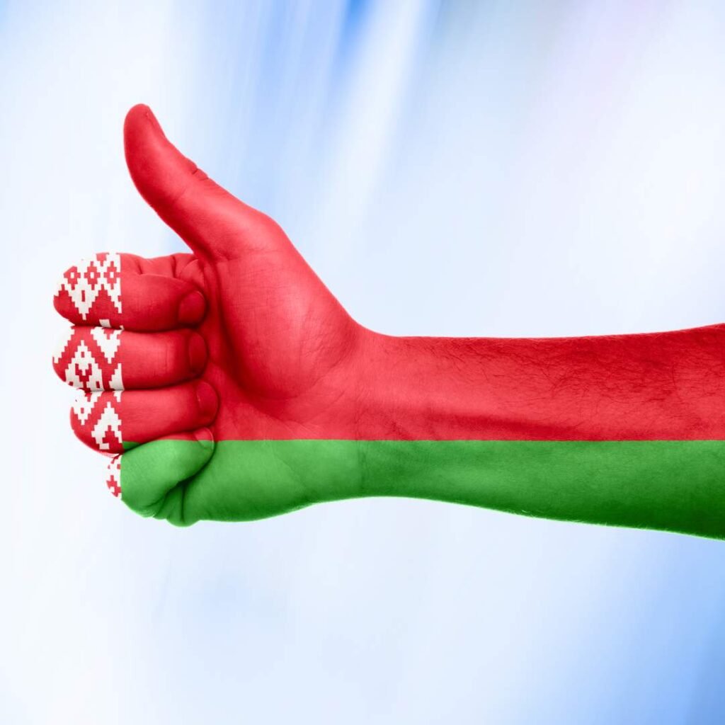 Belarus Flag DP