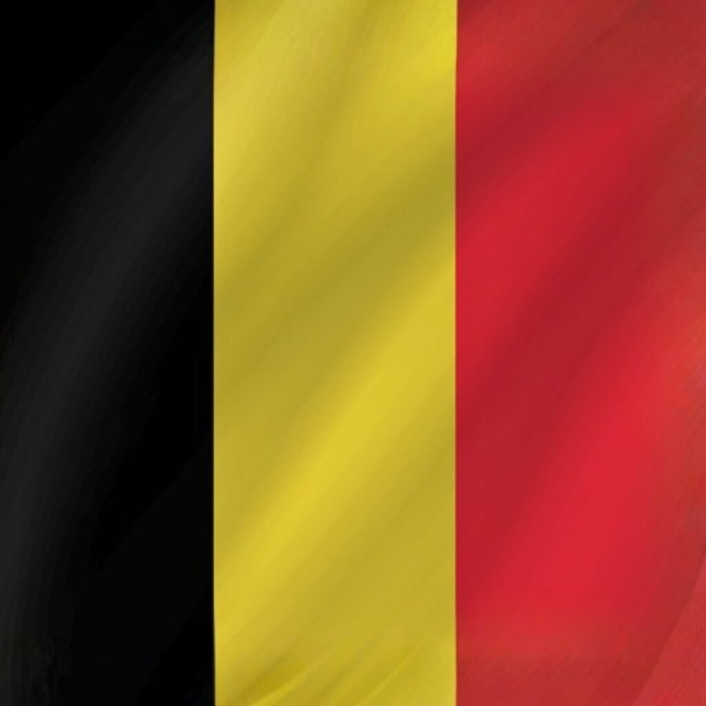 Belgium Flag DP Pics