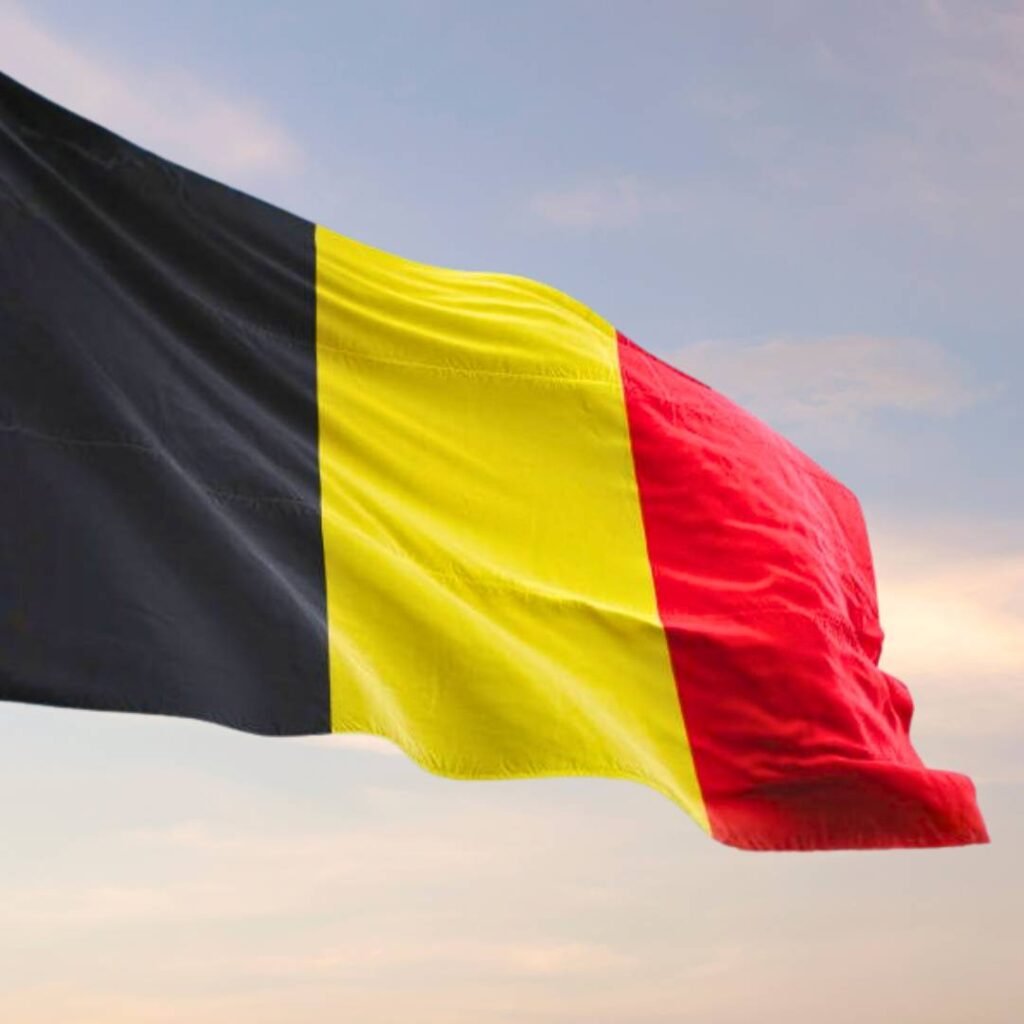 Belgium Flag DP Pics