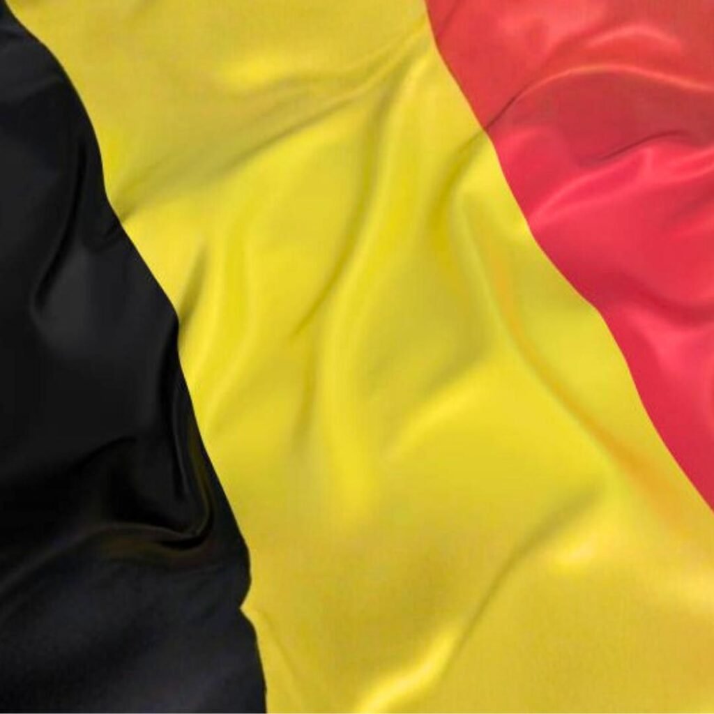 Belgium Flag DP Pics