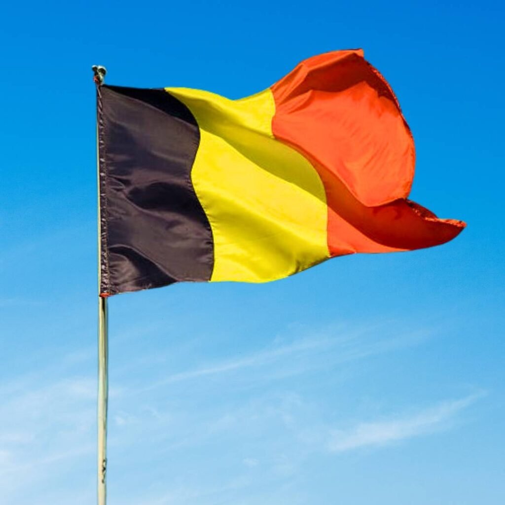 Belgium Flag DP Pics