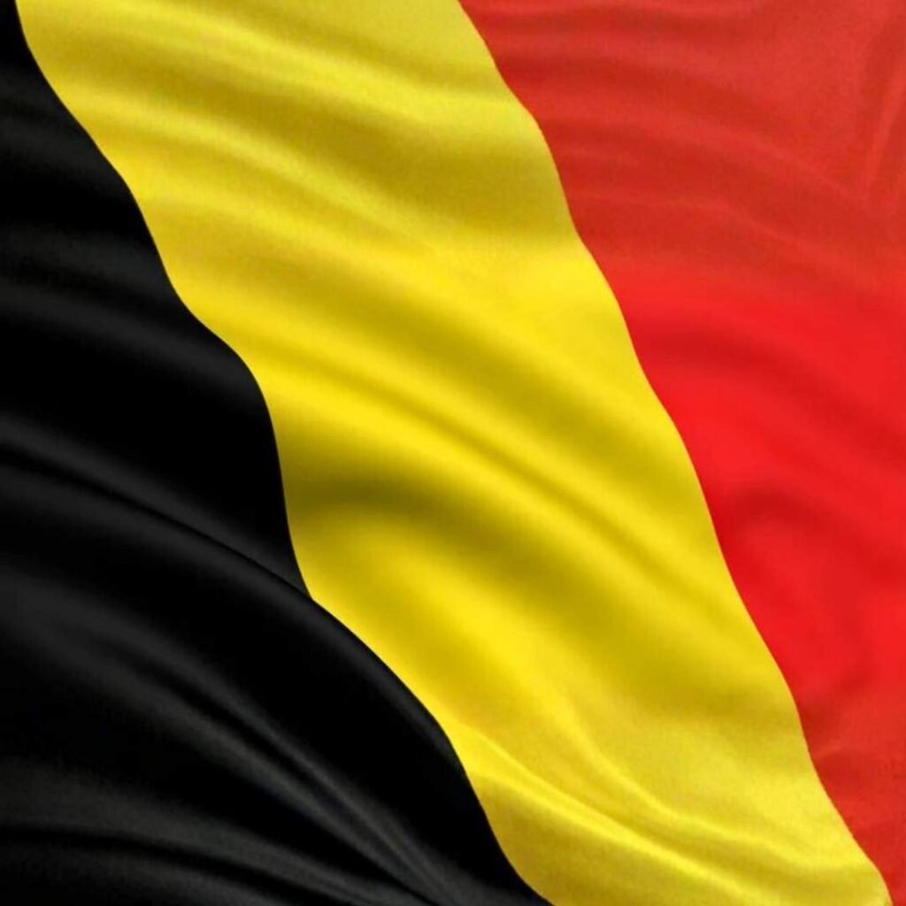 Belgium Flag DP Photos