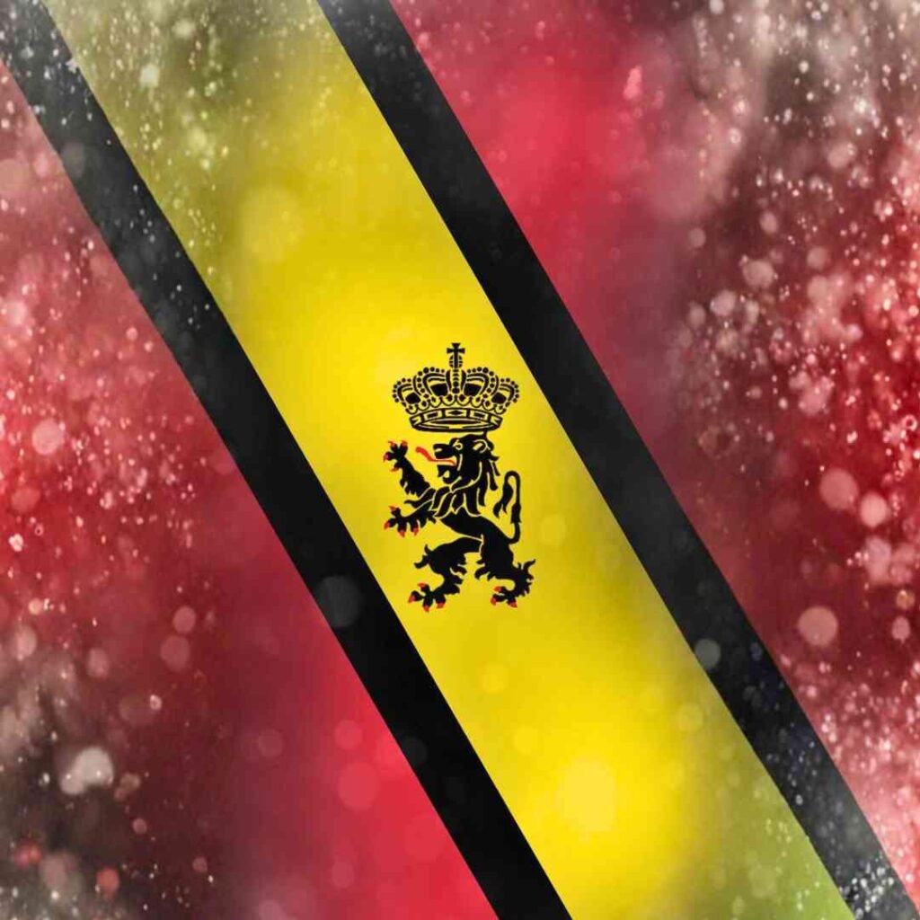 Belgium Flag DP Photos