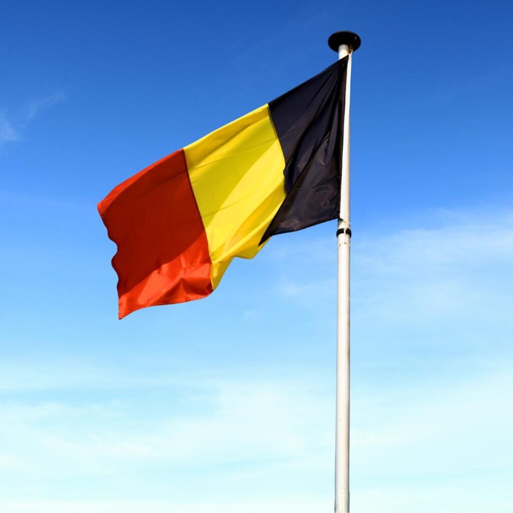 Belgium Flag DP Photos