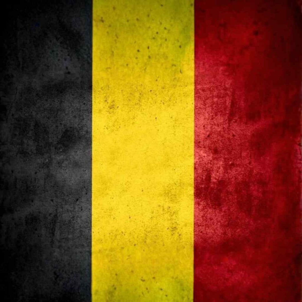 Belgium Flag DP