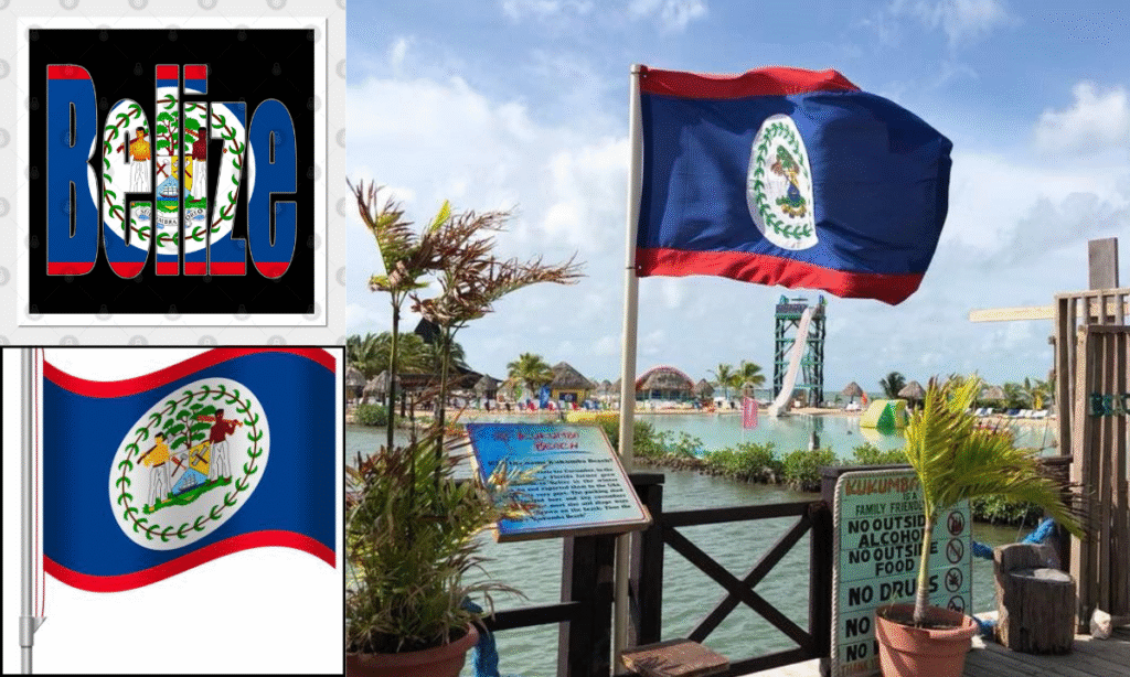 Belize Flag DP