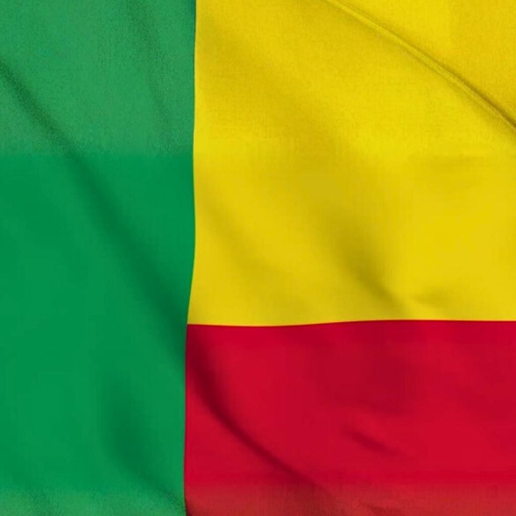 Benin Flag DP