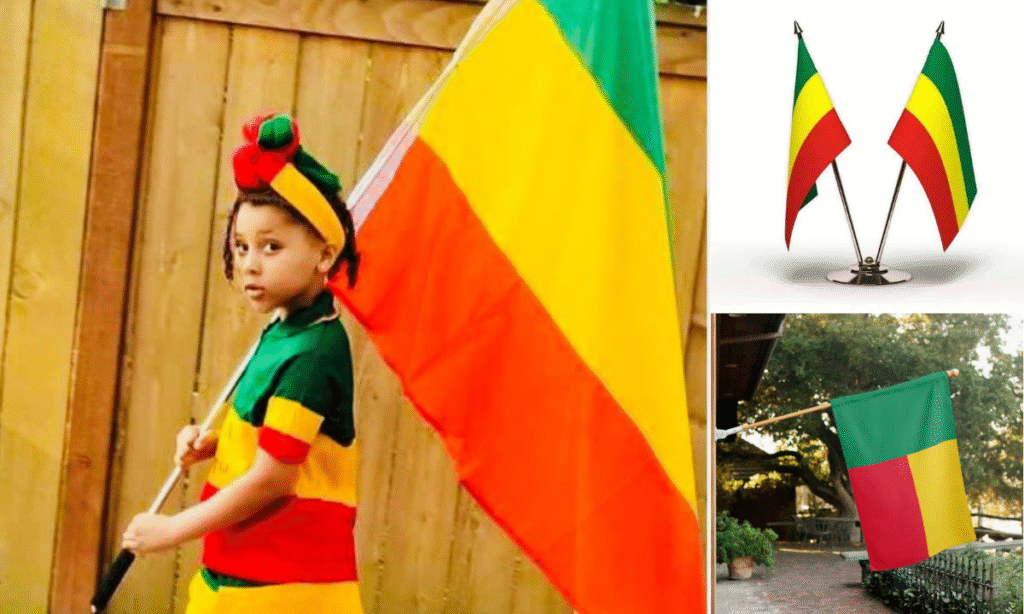 Benin Flag DP
