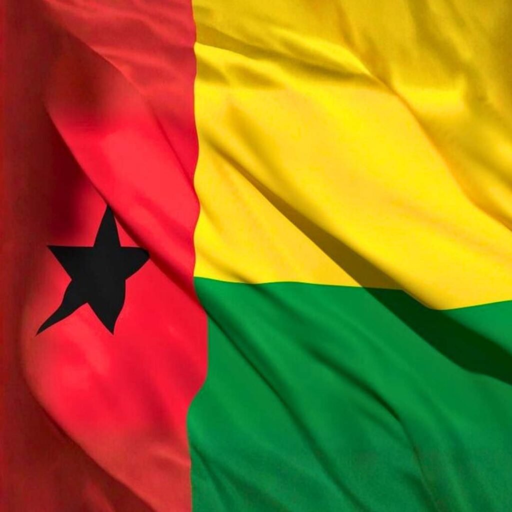 Benin Flag DP Pics