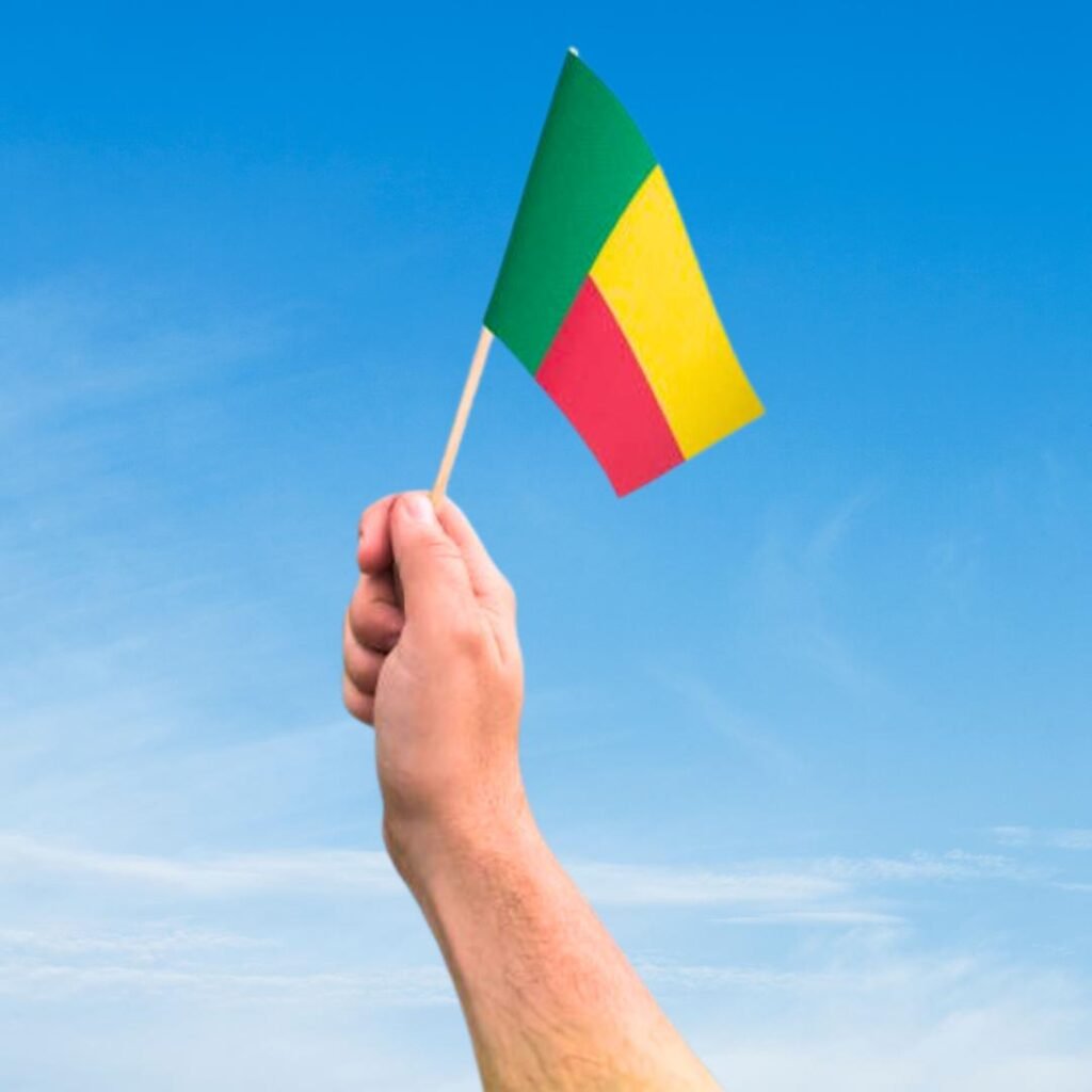 Benin Flag DP