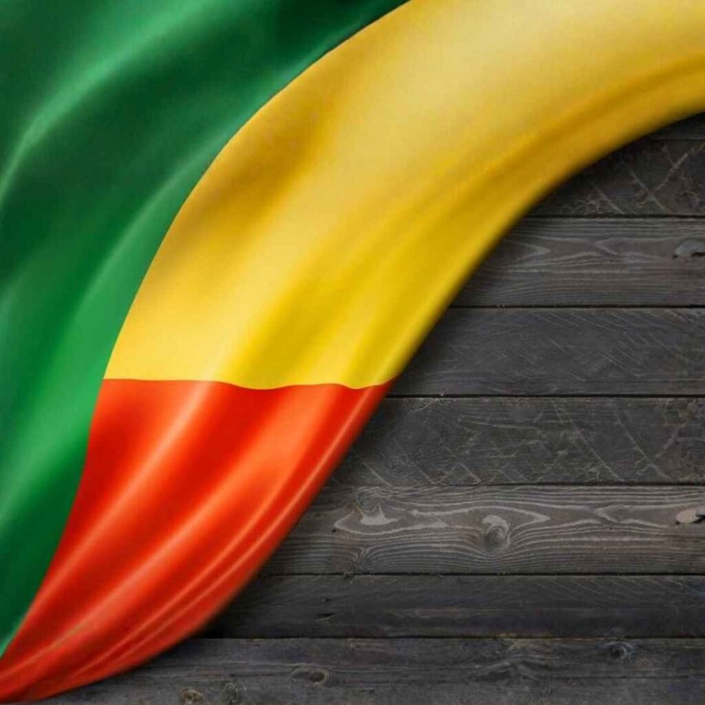 Benin Flag DP Photos