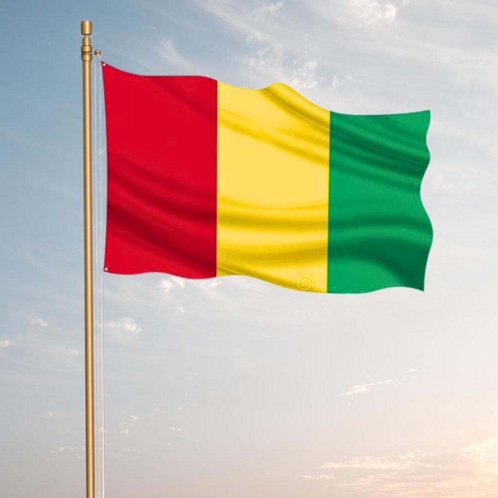 Benin Flag DP Photos