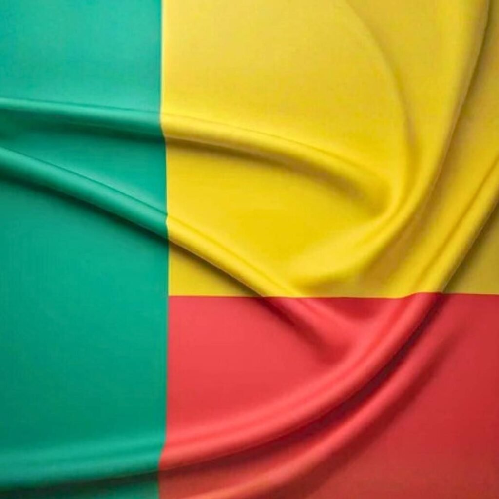 Benin Flag DP New