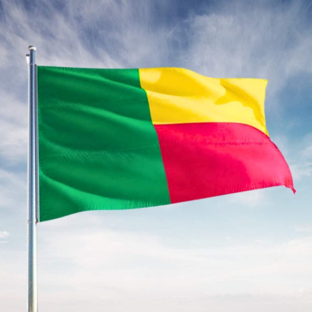 Benin Flag DP