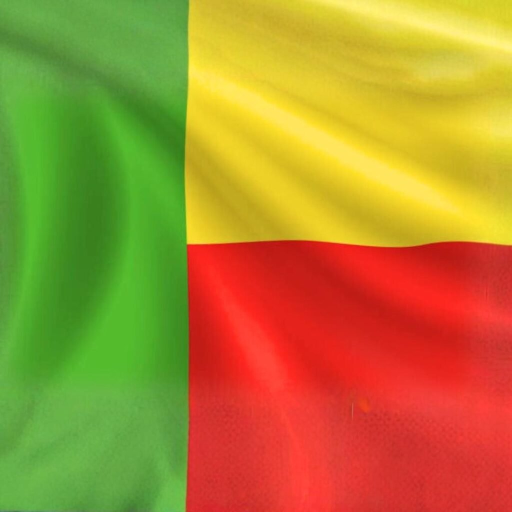 Benin Flag DP