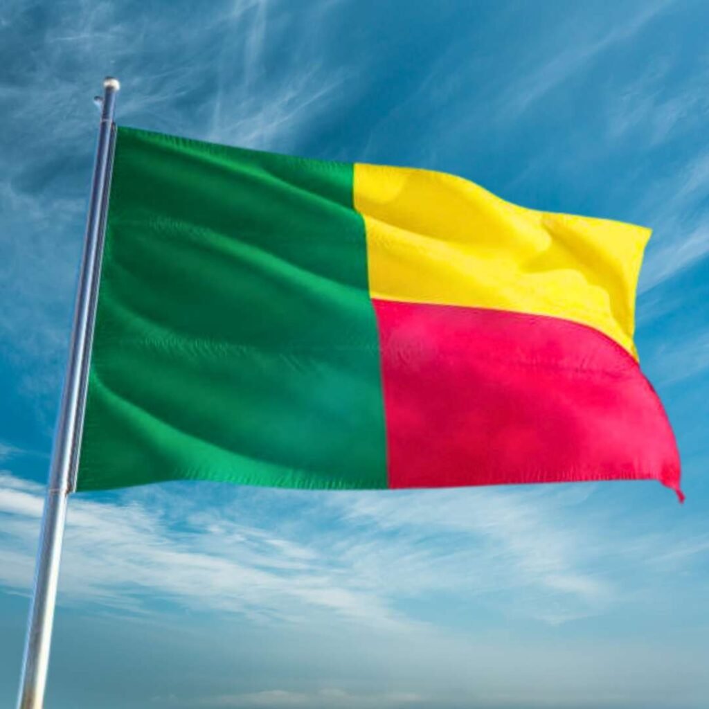 Benin Flag DP