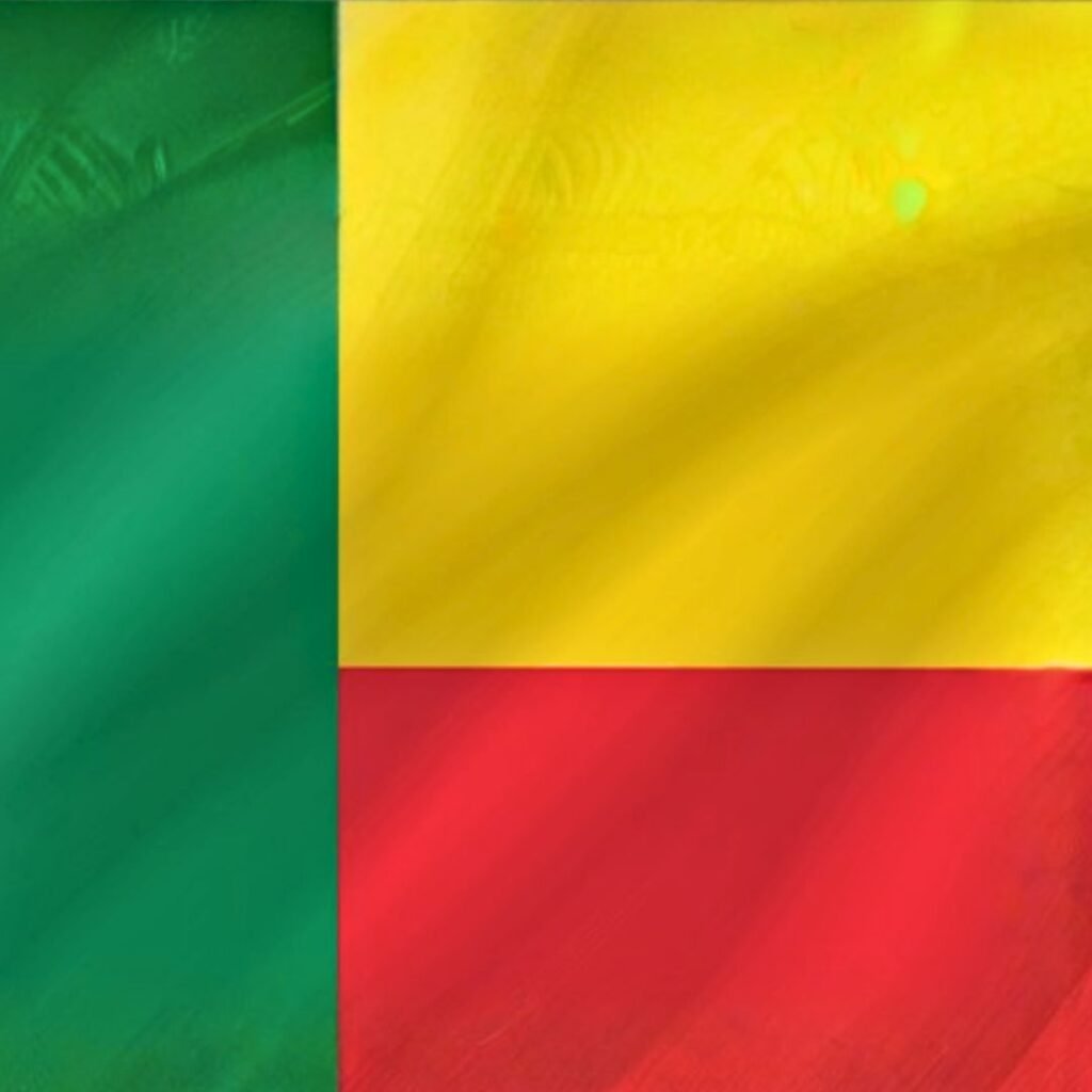 Benin Flag DP