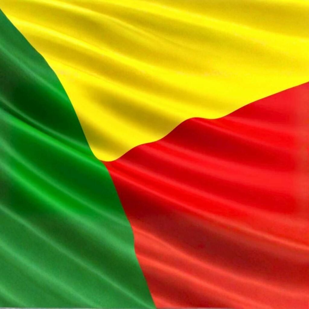 Benin Flag DP
