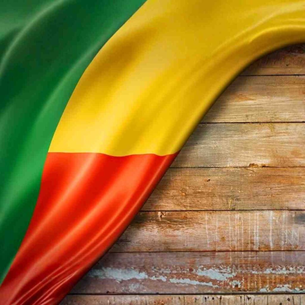 Benin Flag DP