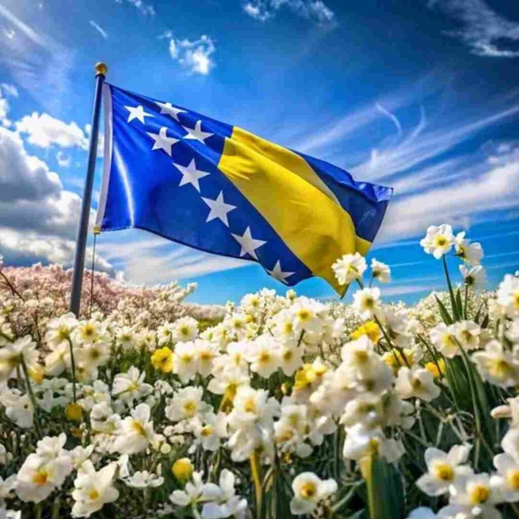 Bosnia Herzegovina Flag DP Photos