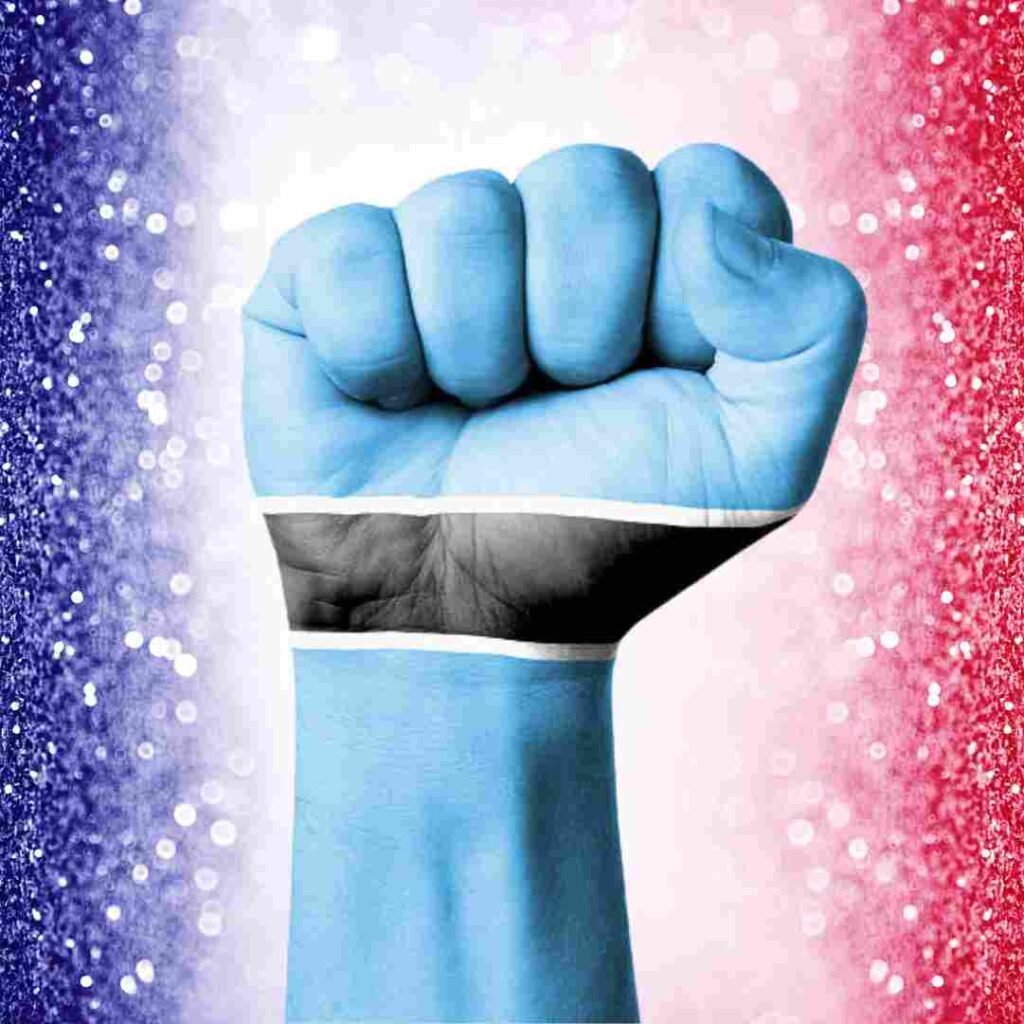 Botswana Flag DP Photos