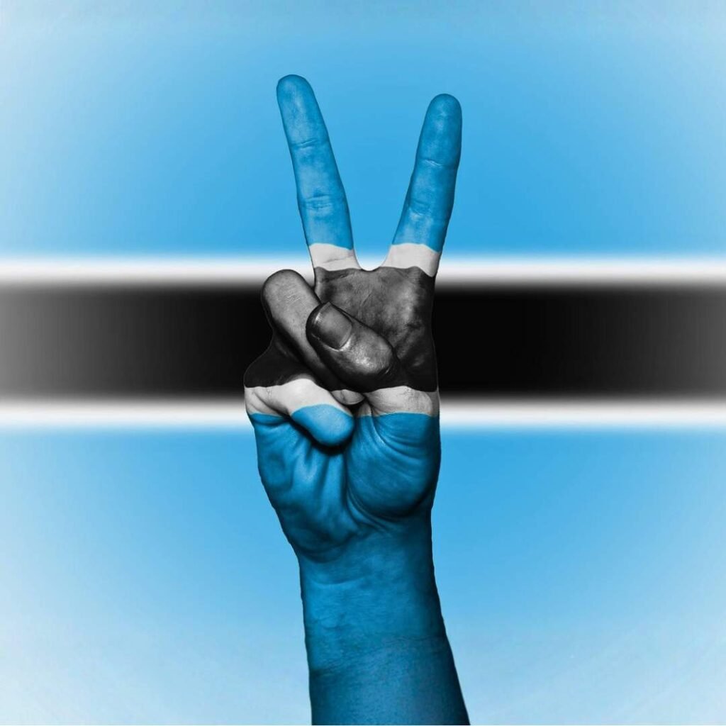 Botswana Flag DP